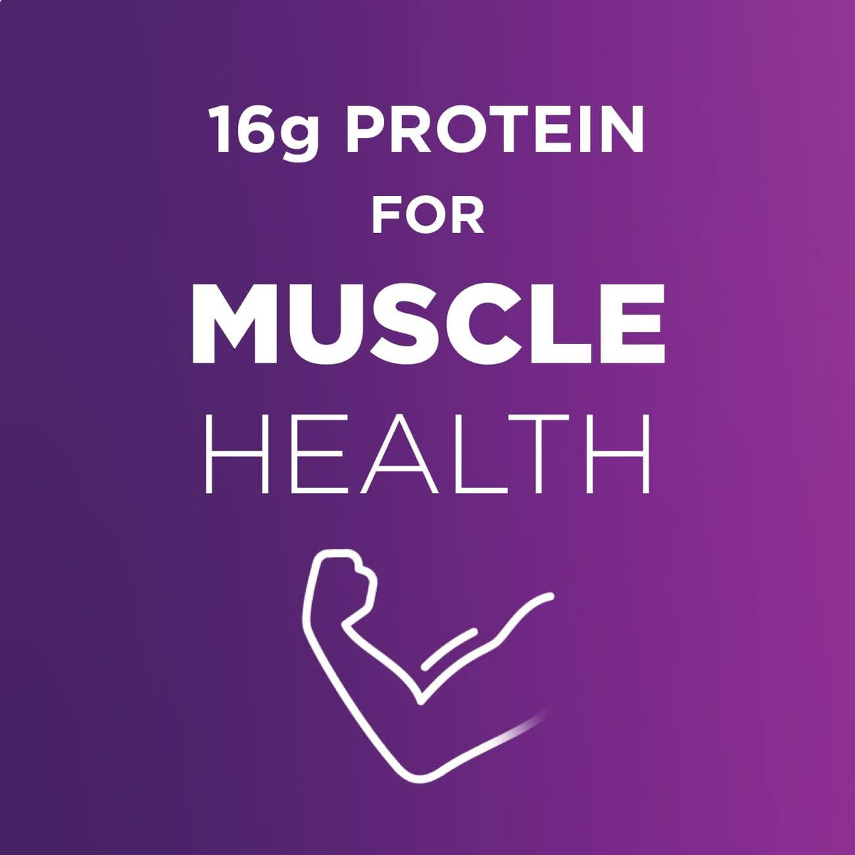 High Protein Milk Chocolate Nutrition Shake 16g Protein 24 Pack F7094
