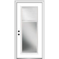 Steel Primed Right-Hand Inswing Full Lite Prehung Front Door 36" x 80" A864759