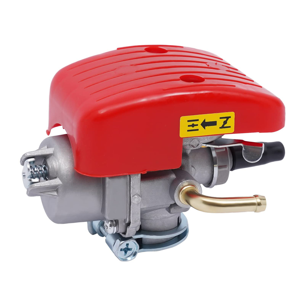 100cc 2-Stroke Bicycle Motor Kit with 2L Fuel Tank P672