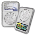 1 oz American Silver Eagle Coin N3132