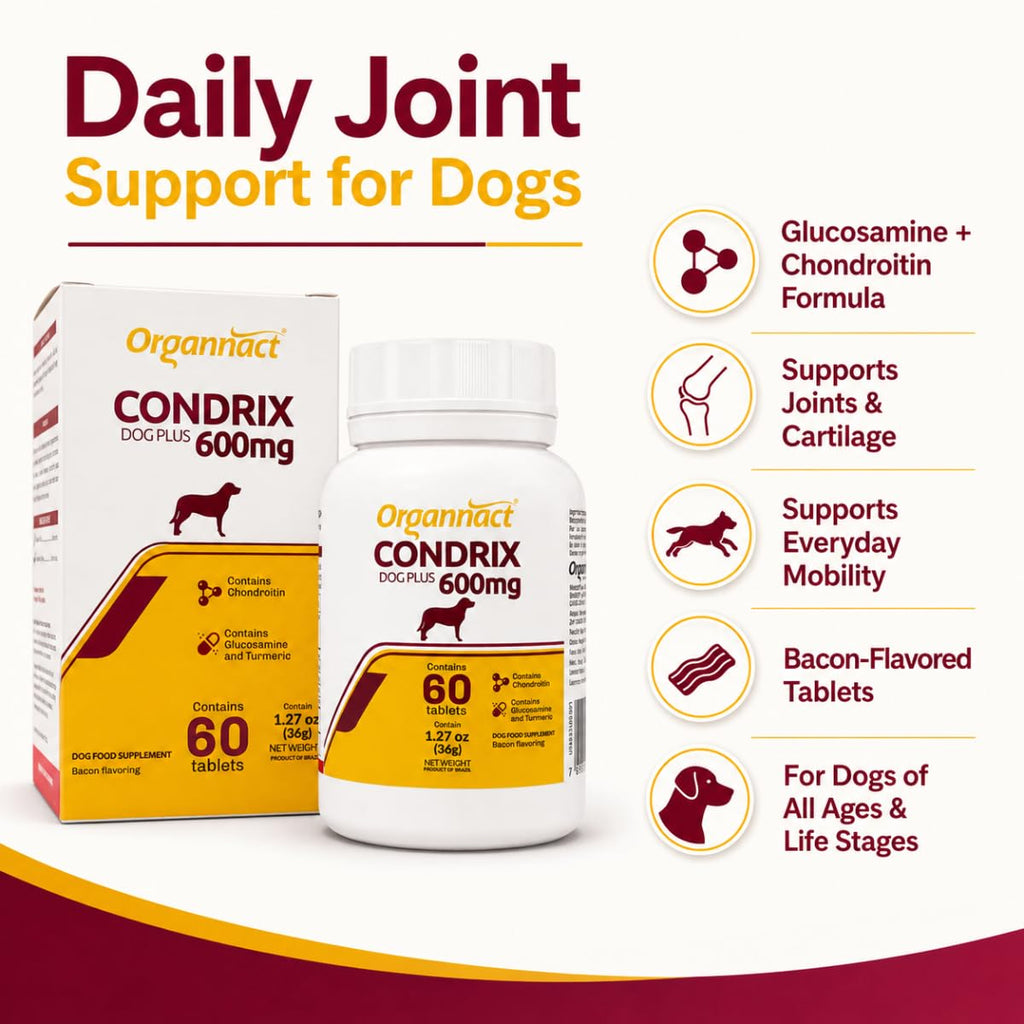 Bacon Flavored Glucosamine Chondroitin Turmeric Dog Supplement 60 Count H83539