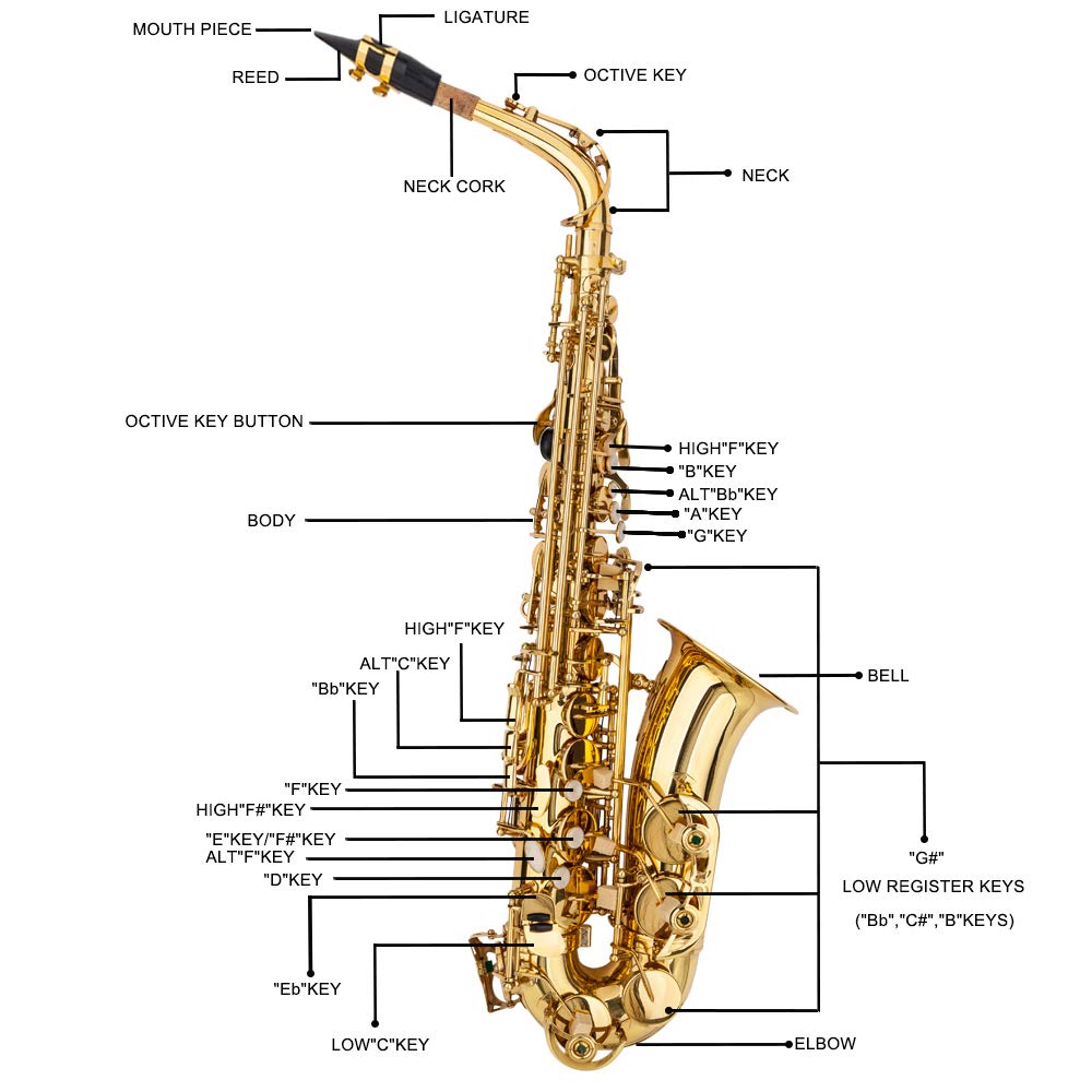 Alto Saxophone D905