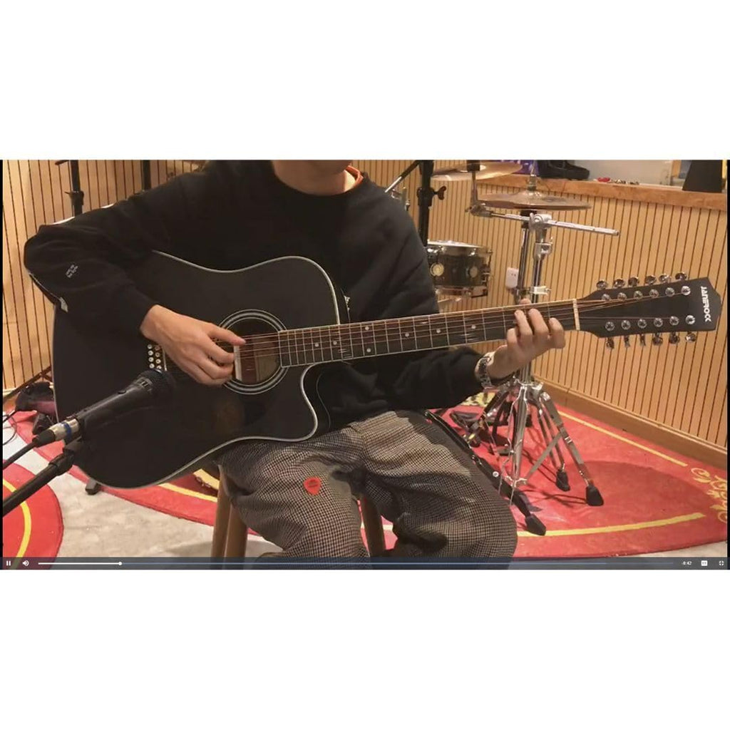 12-string Acoustic-electric Guitar Black R5780