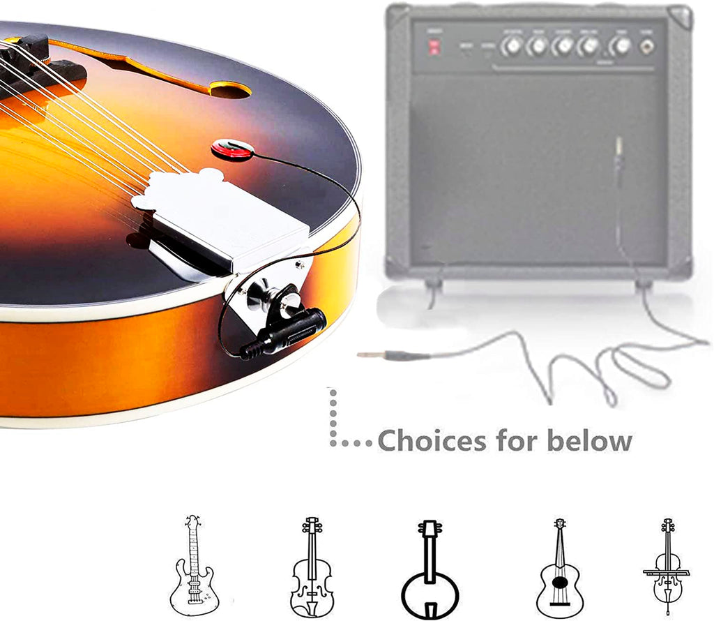 Wood A Style Mandolin Instrument Kit with Bag C939407
