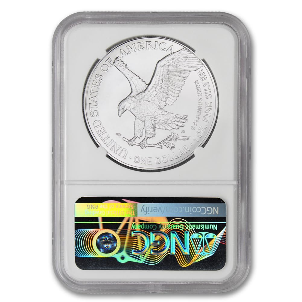 1 oz American Silver Eagle Coin N3132
