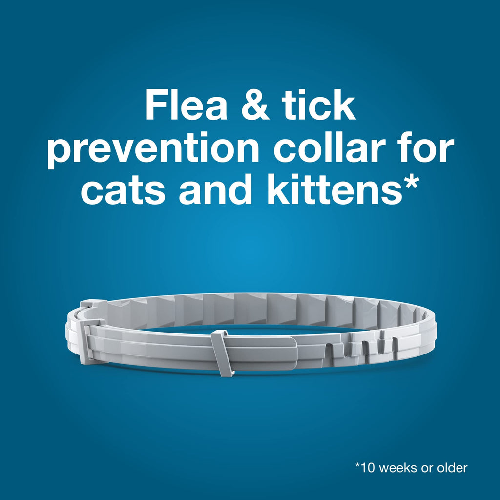 Flea & Tick Treatment & Prevention Collar for Cats 8 Months Pack of 2 J627985