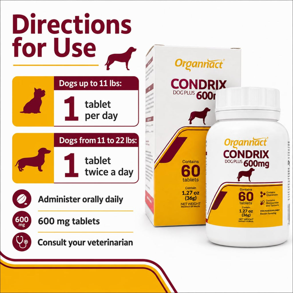Bacon Flavored Glucosamine Chondroitin Turmeric Dog Supplement 60 Count H83539