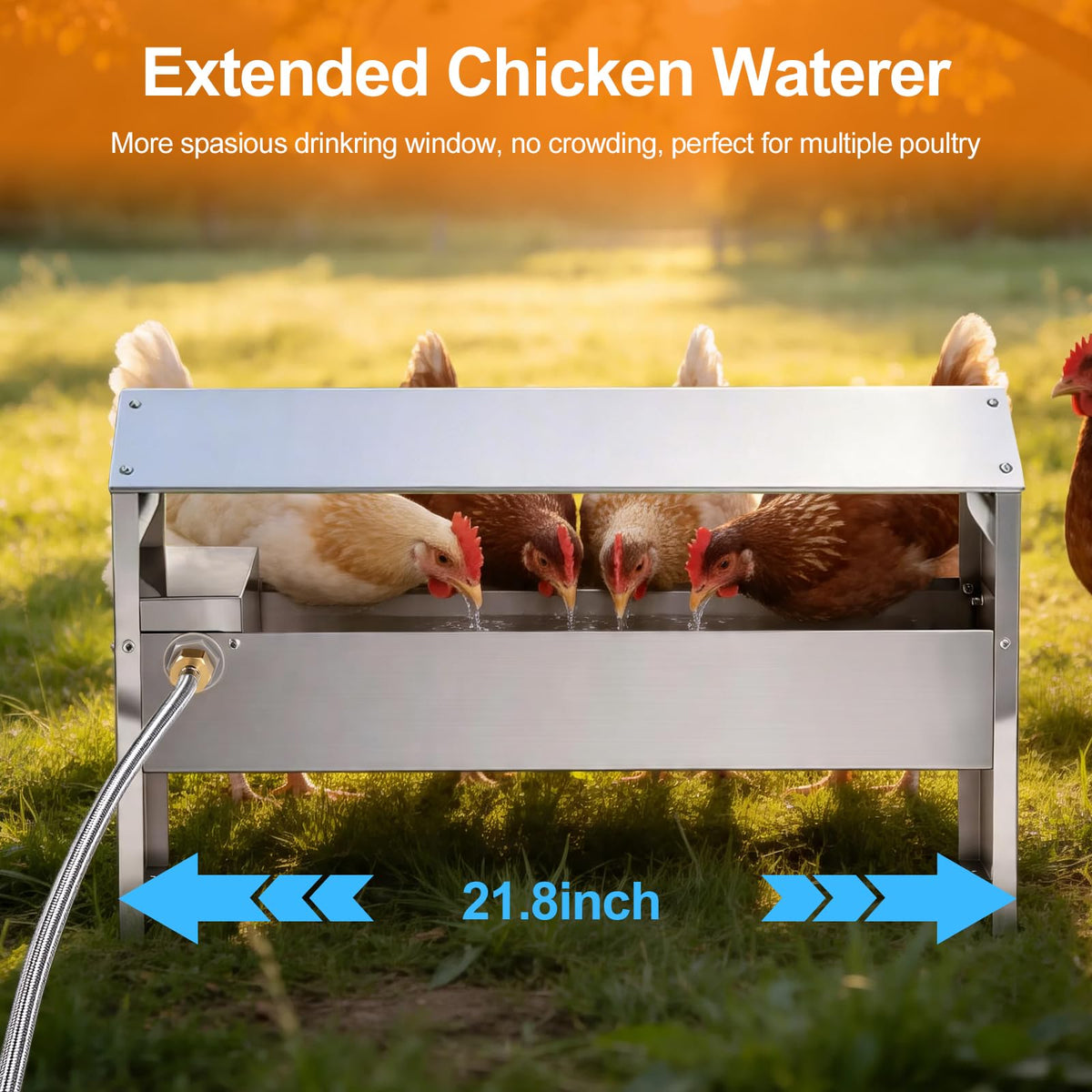 22'' Stainless Steel Automatic Chicken Waterer U489579