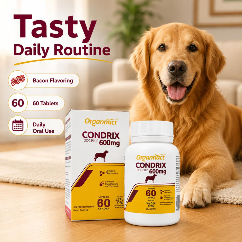 Bacon Flavored Glucosamine Chondroitin Turmeric Dog Supplement 60 Count H83539