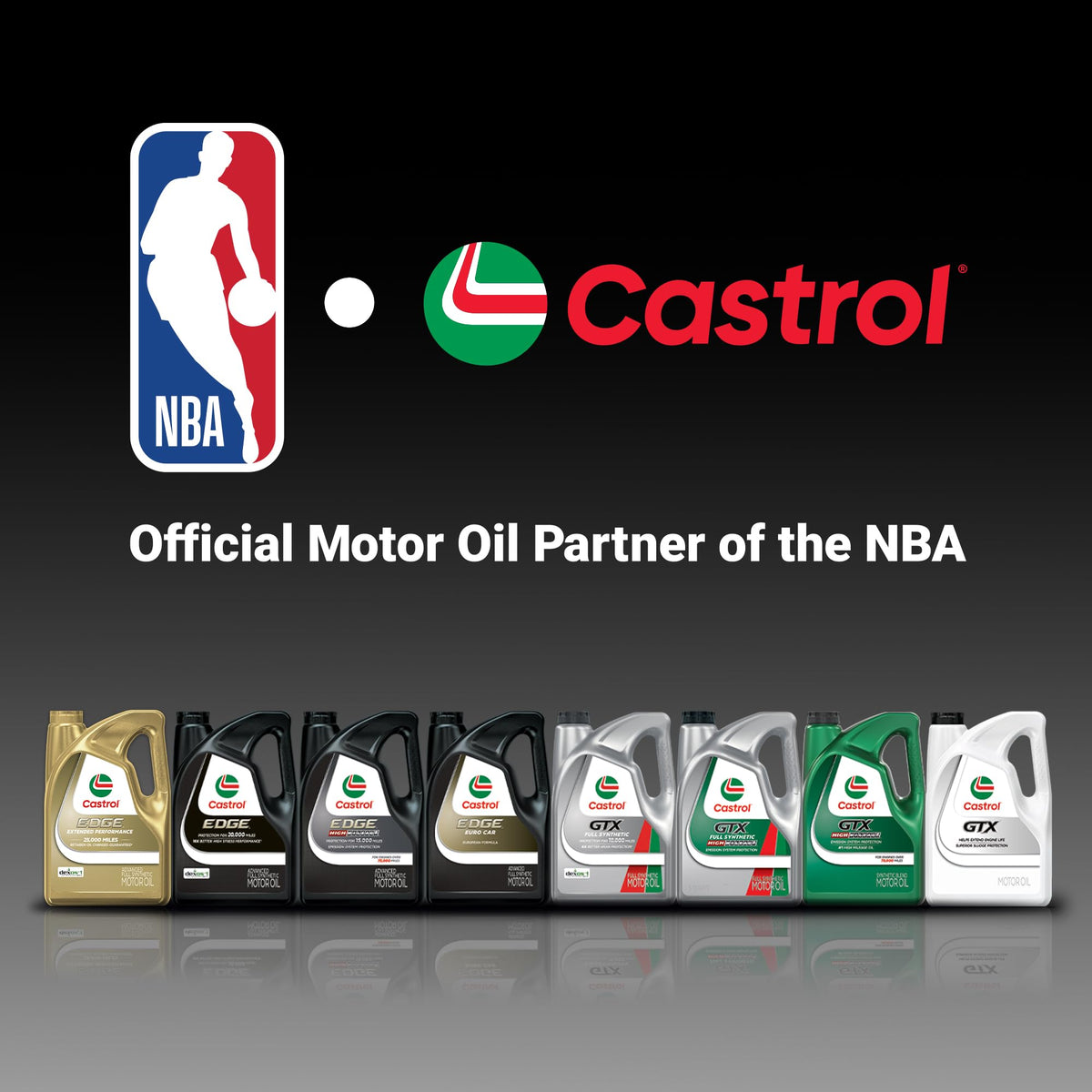 10W-40 Full Synthetic Motor Oil M767