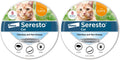 Flea & Tick Treatment & Prevention Collar for Cats 8 Months Pack of 2 J627985