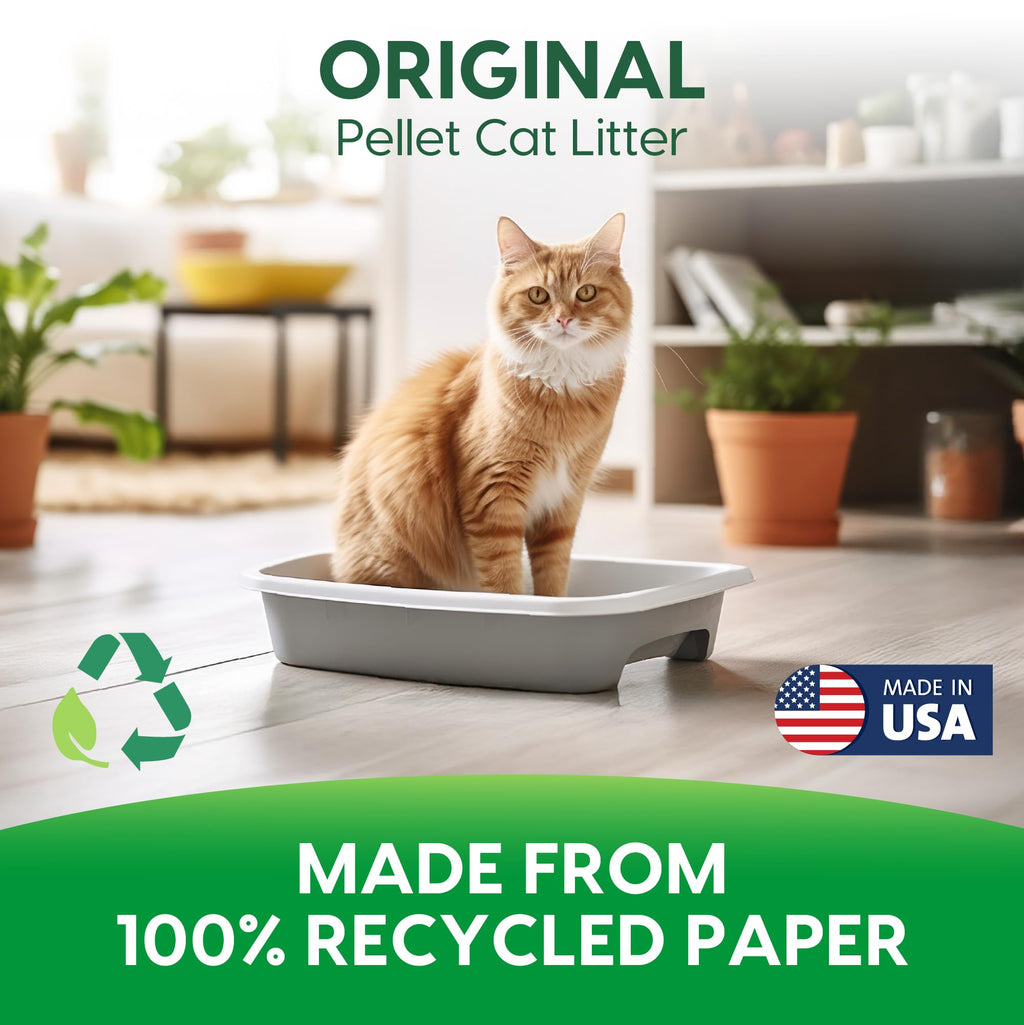 Recycled Paper Cat Litter, 12 Pound, Non-Clumping, Unscented L44629