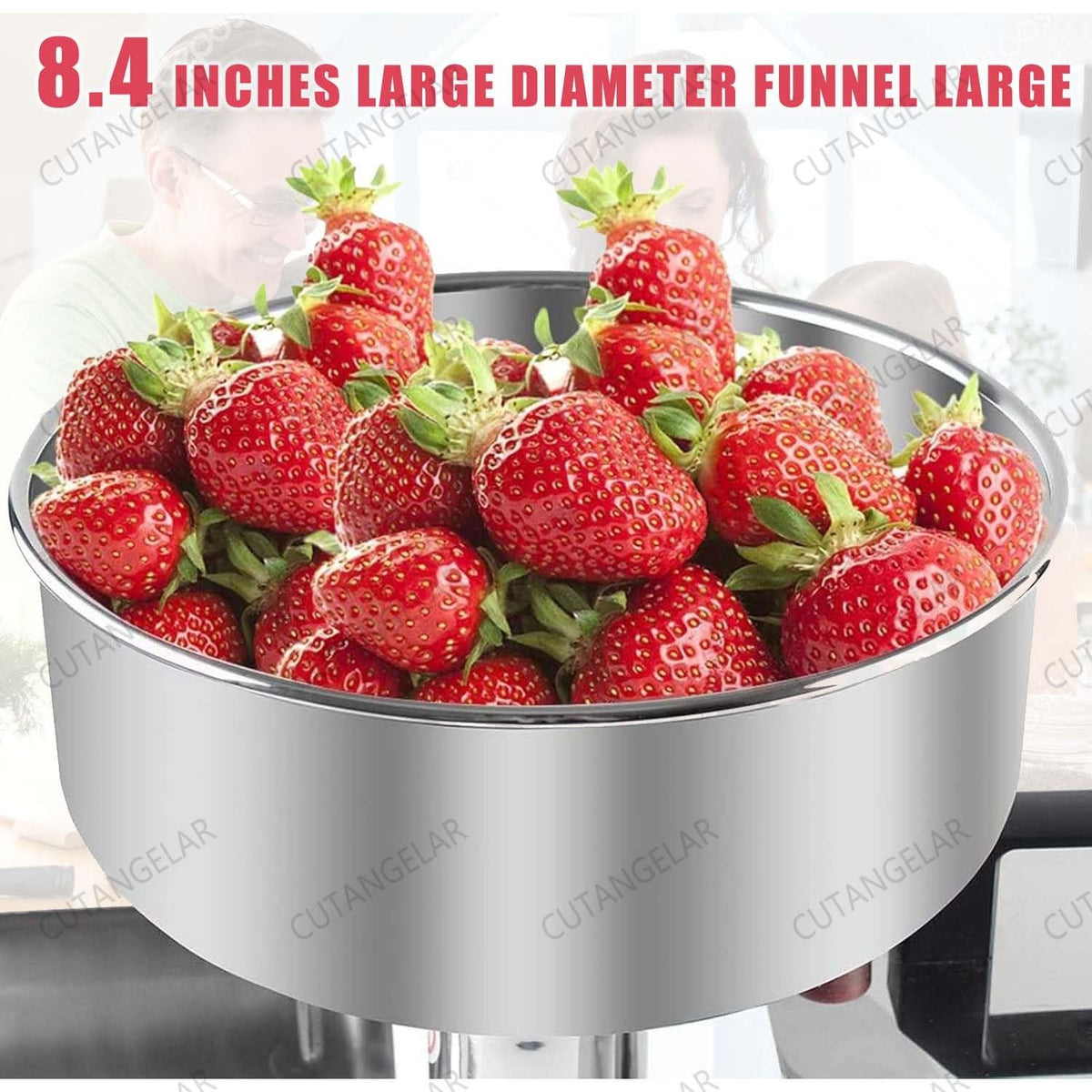 450W Stainless Steel Electric Tomato Strainer X573