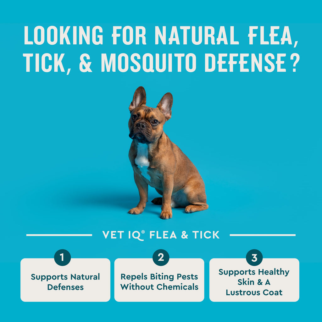 Chemical-Free Soft Chews Flea & Tick Support Dogs 60-Count N70609