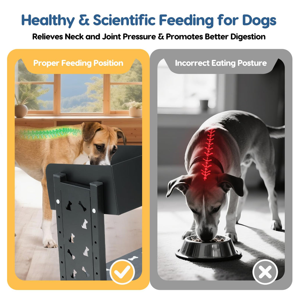 Elevated Dog Bowls with 3 Stainless Steel Bowls V238