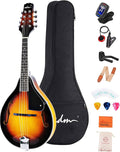 Wood A Style Mandolin Instrument Kit with Bag C939407
