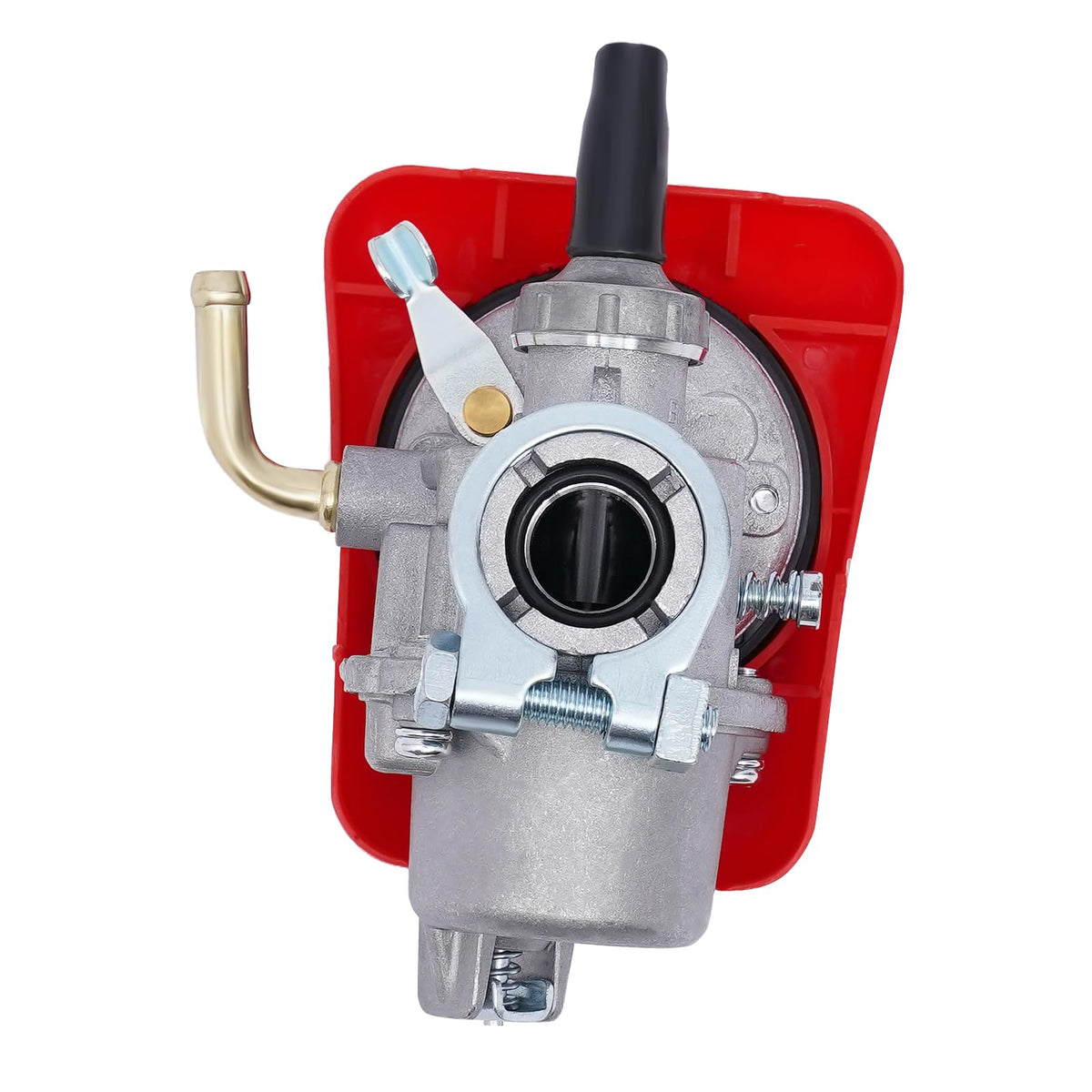 100cc 2-Stroke Bicycle Motor Kit with 2L Fuel Tank P672