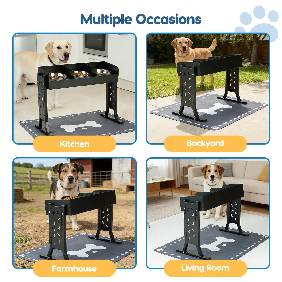 Elevated Dog Bowls with 3 Stainless Steel Bowls V238
