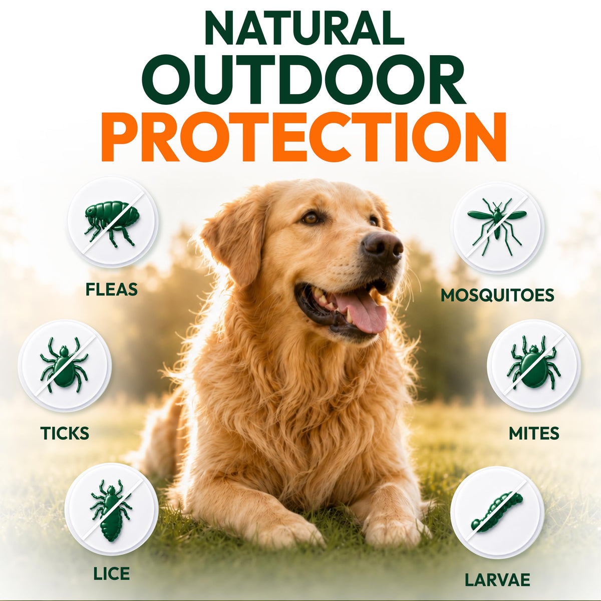 Flea and Tick Prevention for Dogs Soft Chewables U309