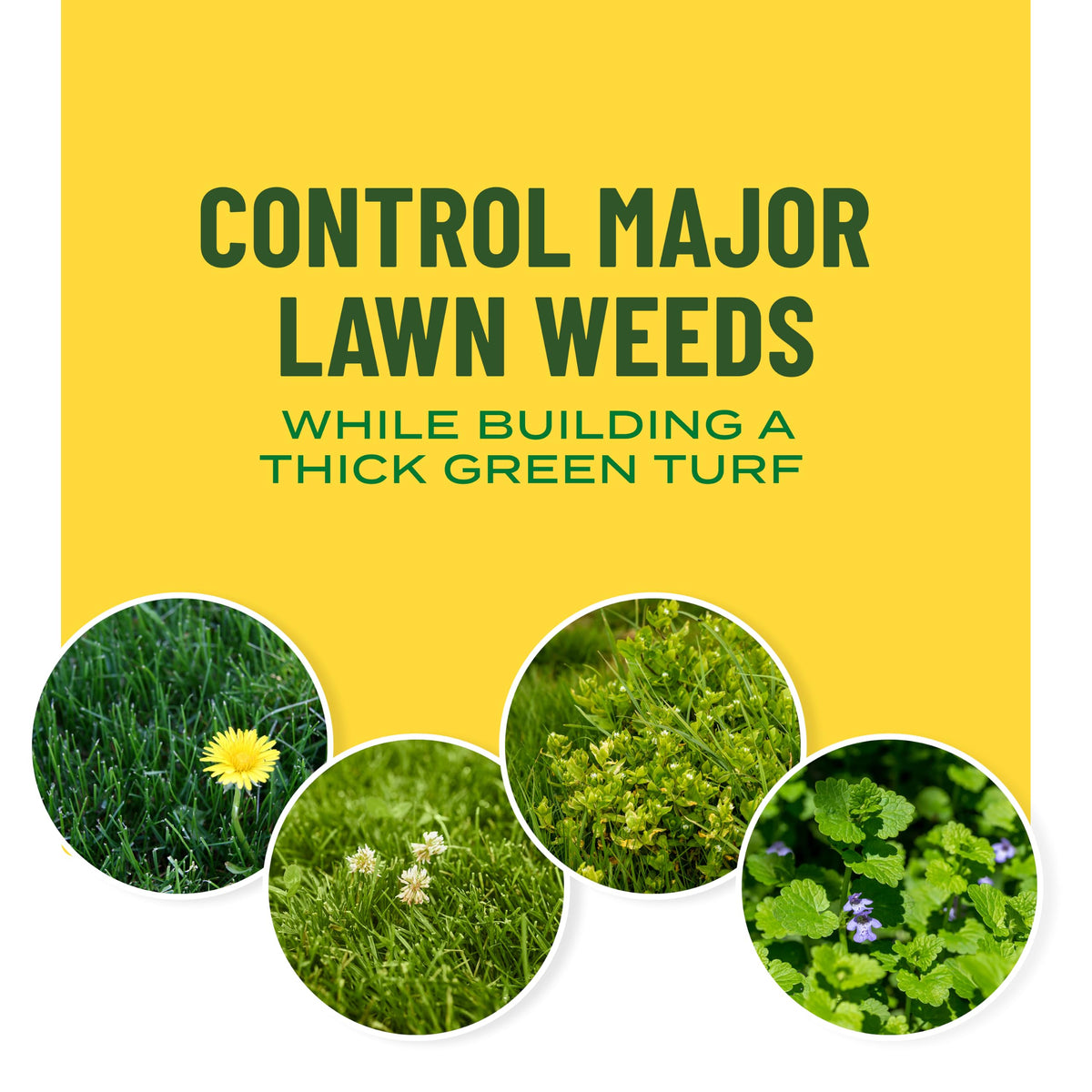 Liquid Lawn Food Plus Weed Control 32 fl. oz. H22678