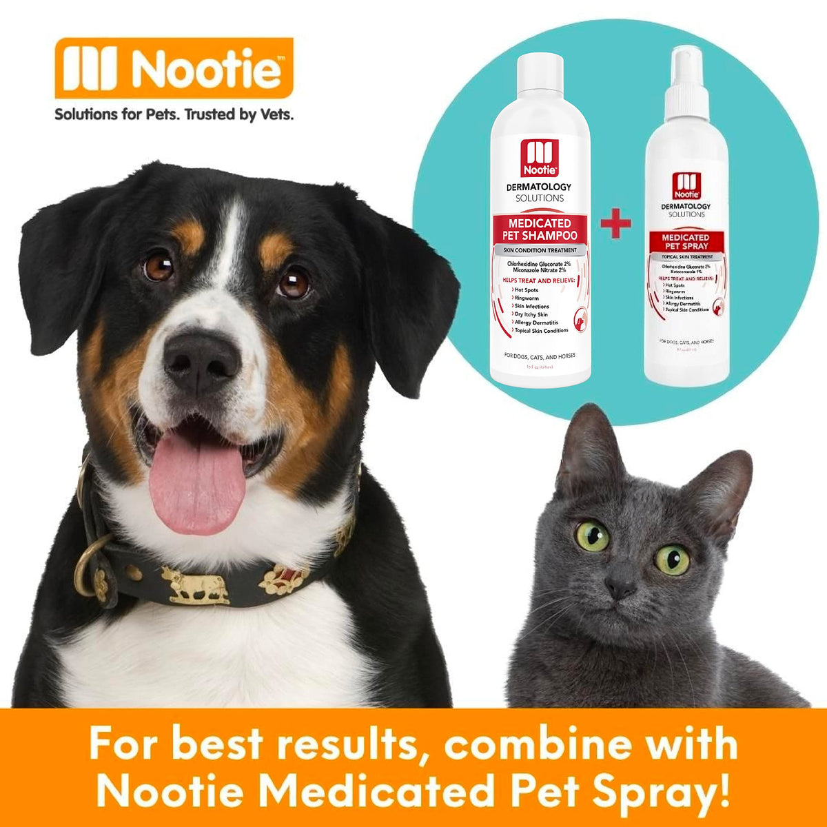 Medicated Chlorhexidine Dog Shampoo 16oz J40861