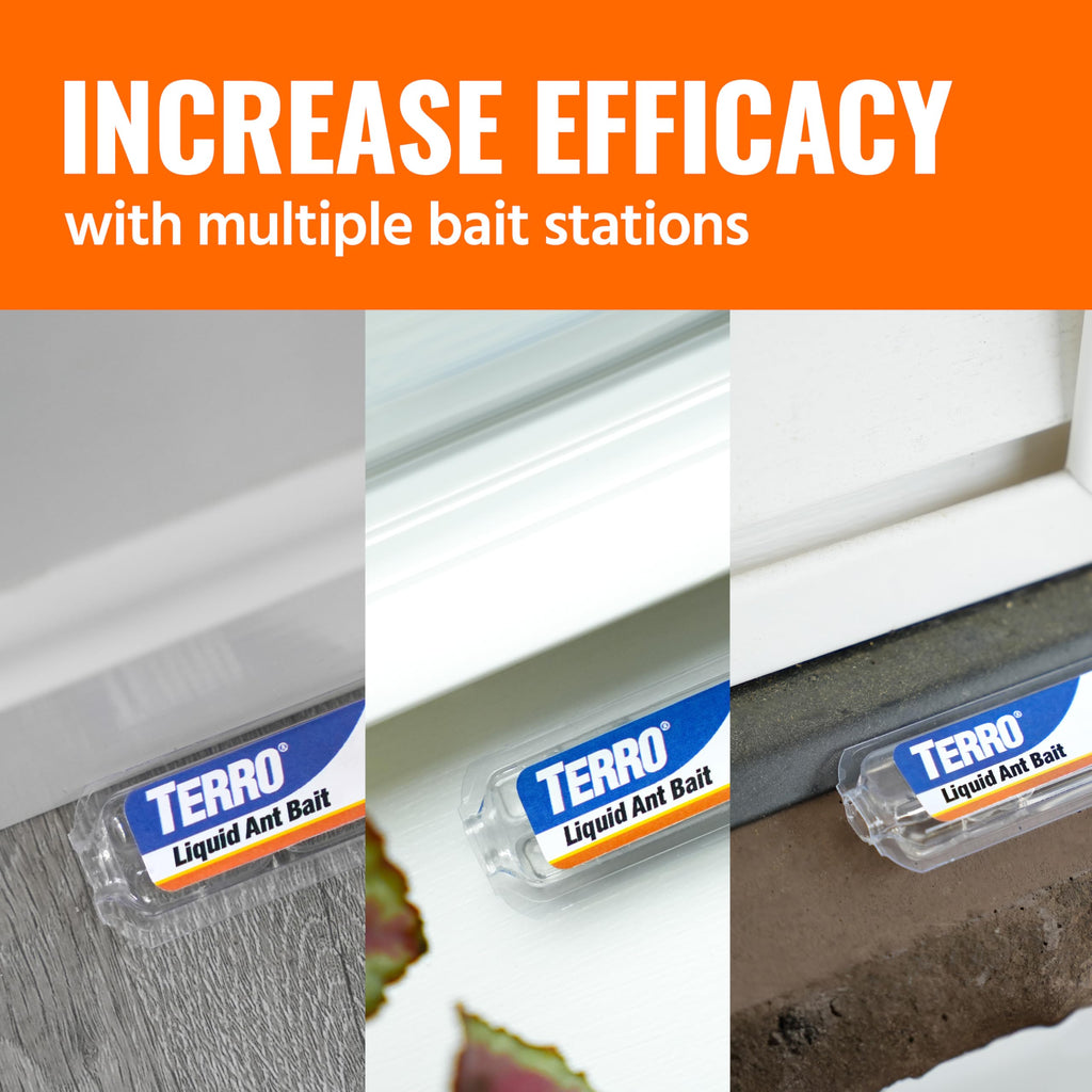 Liquid Ant Killer Bait Stations 12-Pack L9854