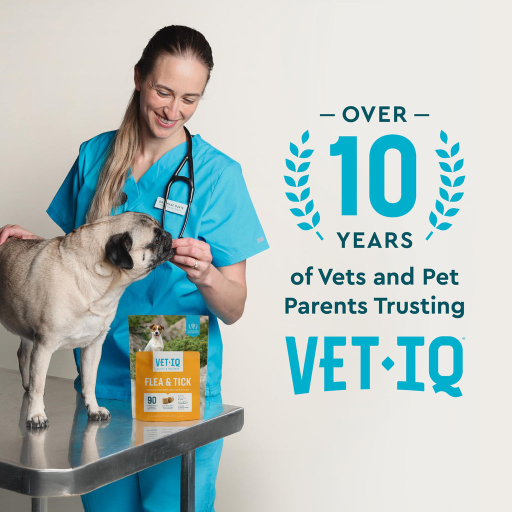 Chemical-Free Soft Chews Flea & Tick Support Dogs 60-Count N70609