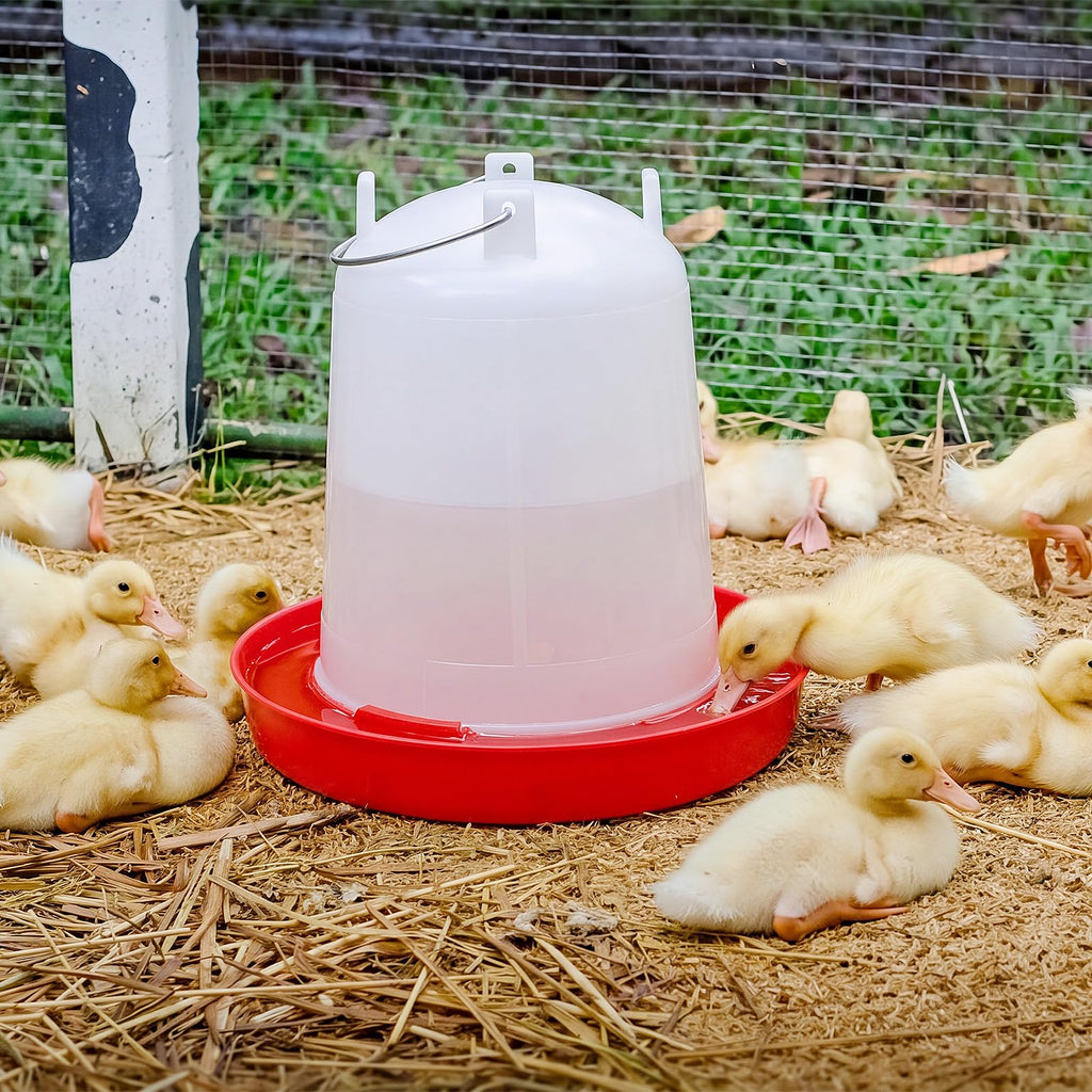 2 Pcs 2 Gallon Plastic Chicken Waterer M8076