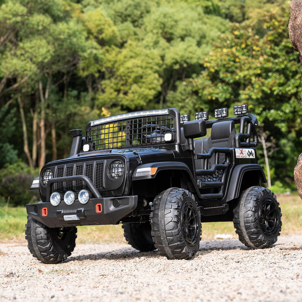 Black 2 Seater 24V Ride On Car H154584