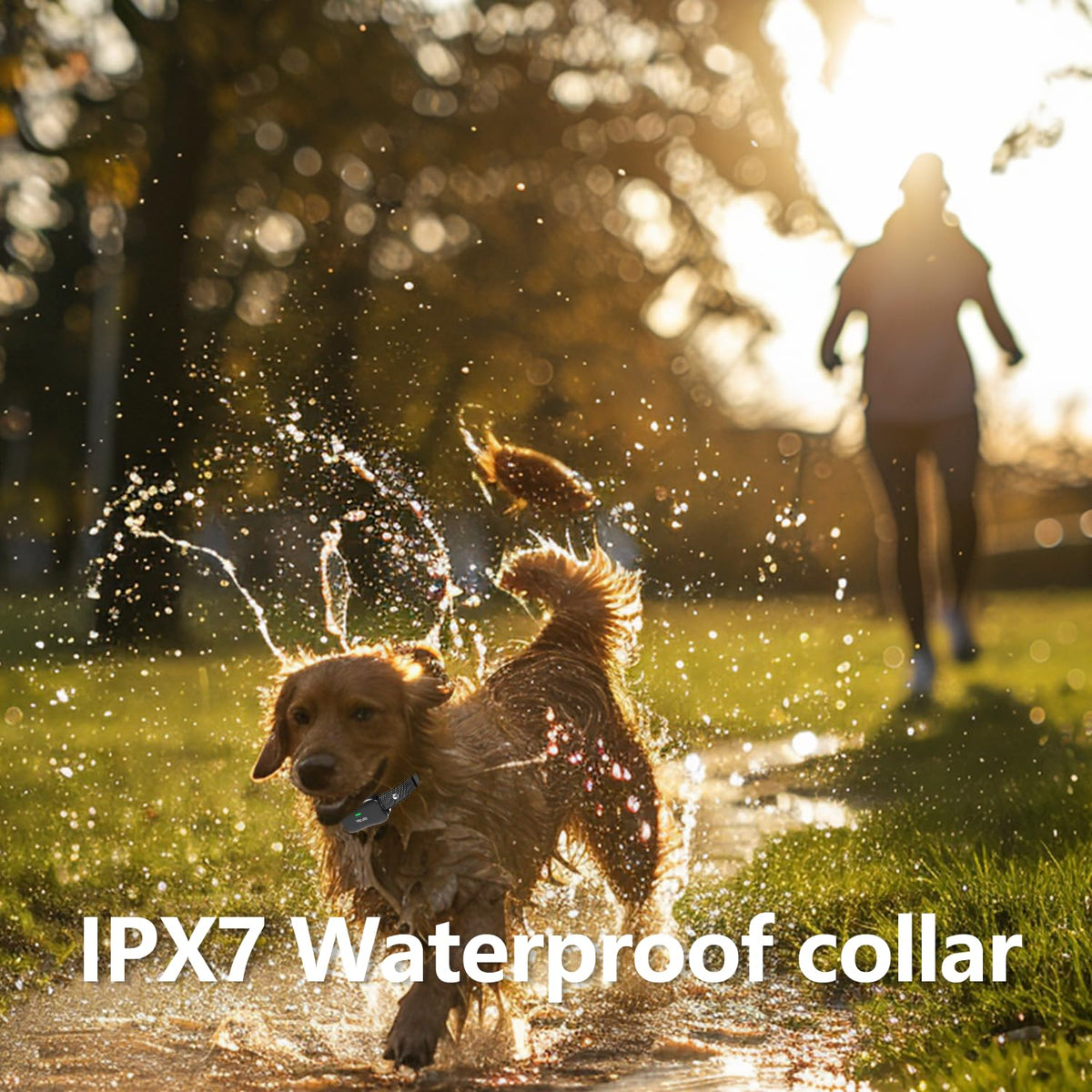 Wireless Dog Fence and Remote Training Collar, IPX7 Waterproof, 185 Days Rechargeable Battery X905