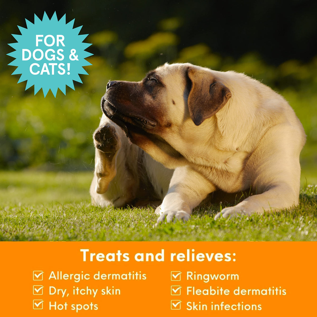 Medicated Chlorhexidine Dog Shampoo 16oz J40861