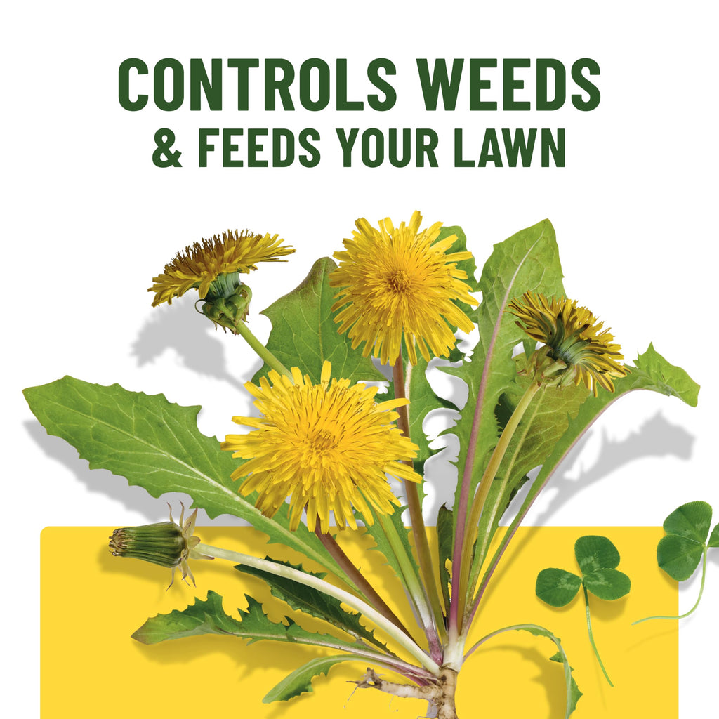 Liquid Lawn Food Plus Weed Control 32 fl. oz. H22678