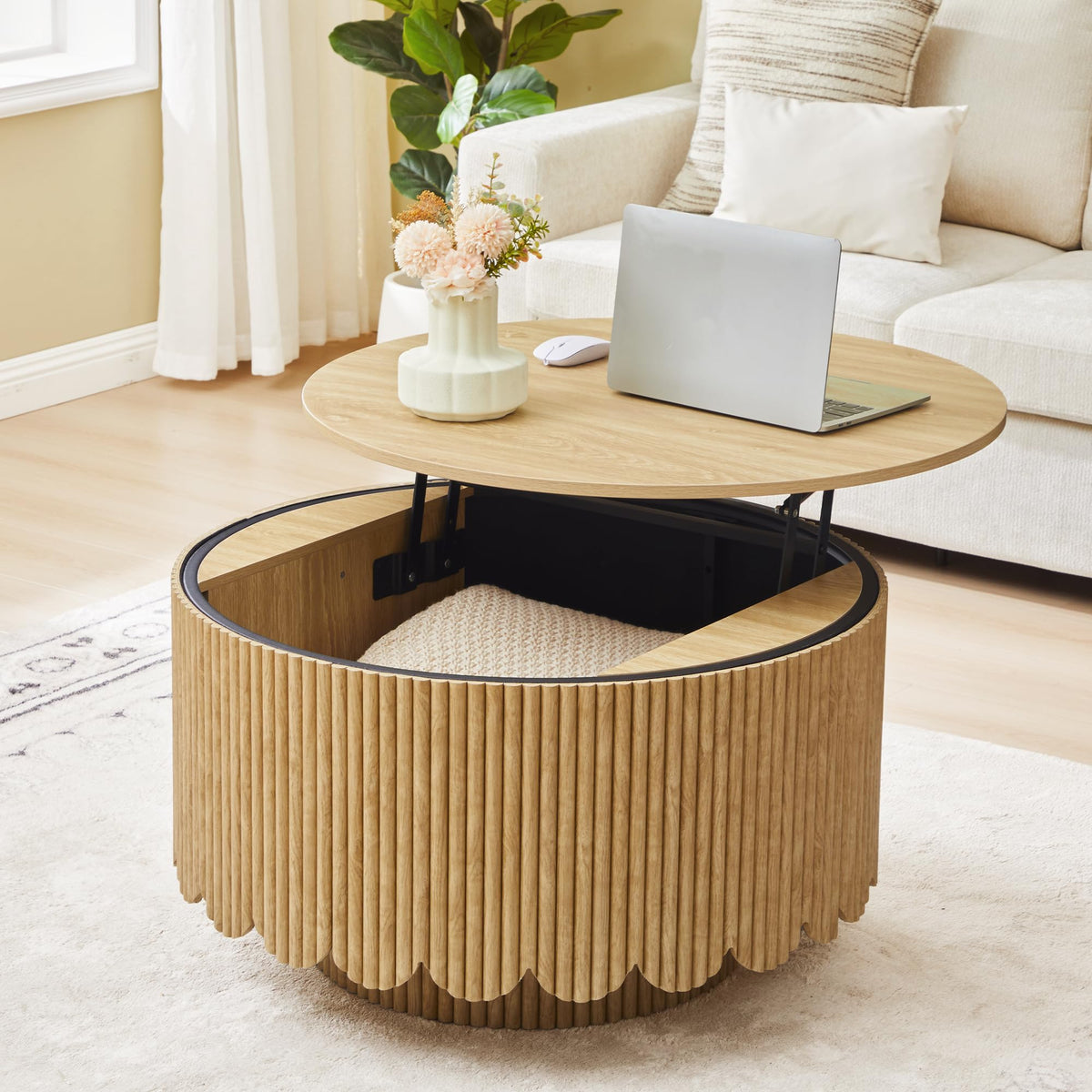Lift Top Coffee Table with Storage D76261