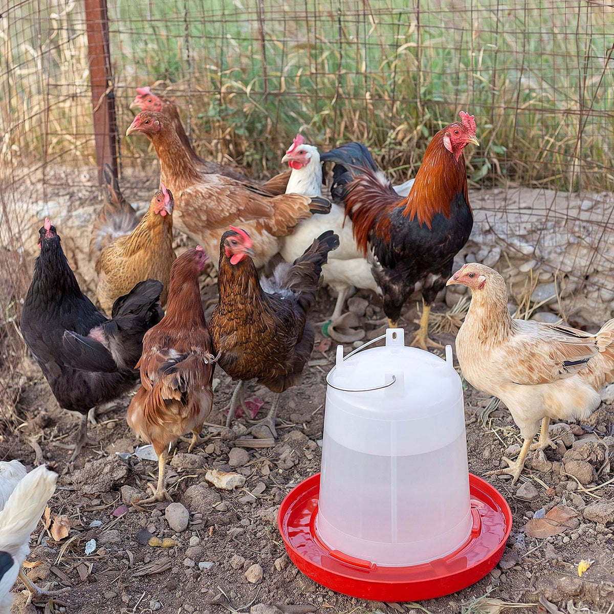 2 Pcs 2 Gallon Plastic Chicken Waterer M8076