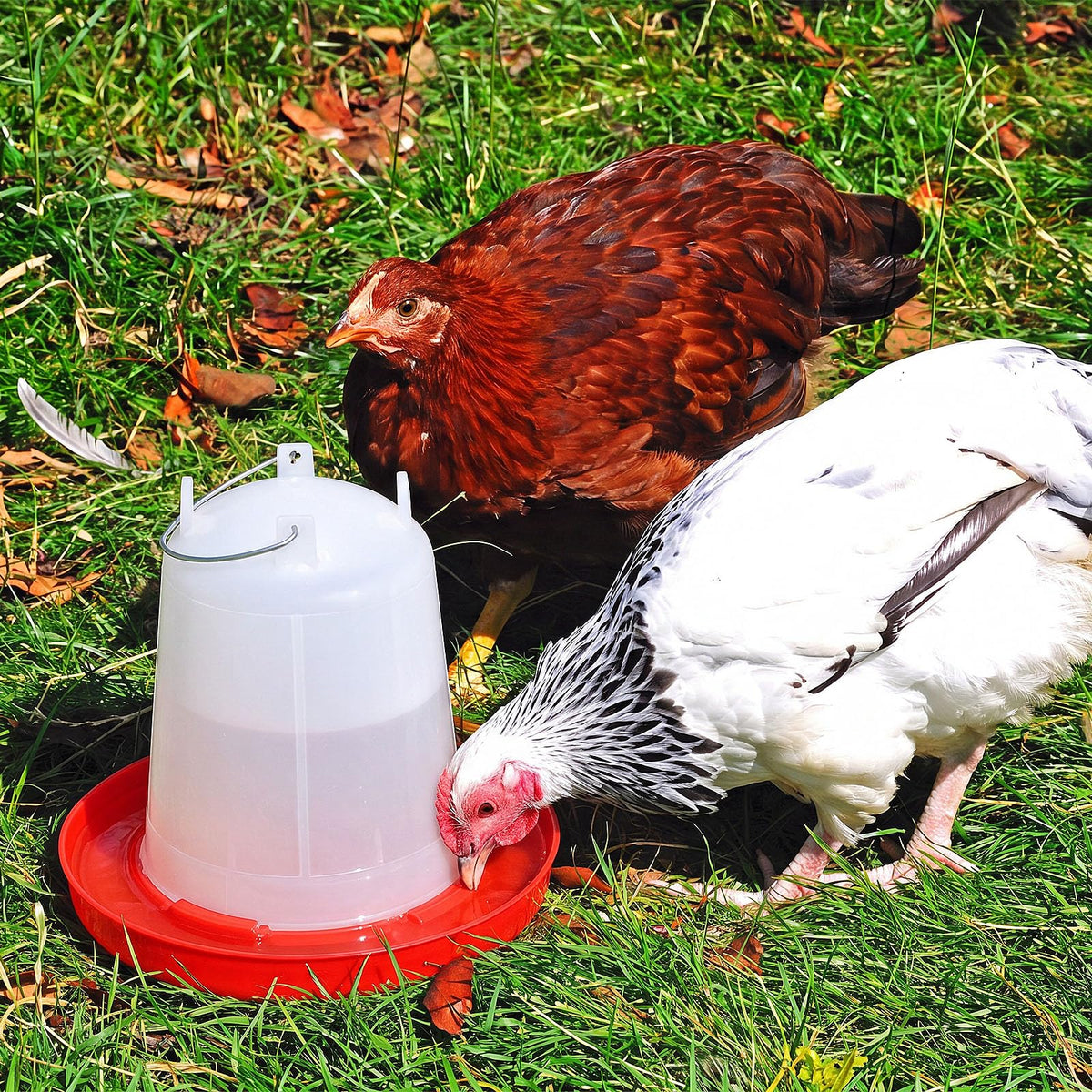 2 Pcs 2 Gallon Plastic Chicken Waterer M8076
