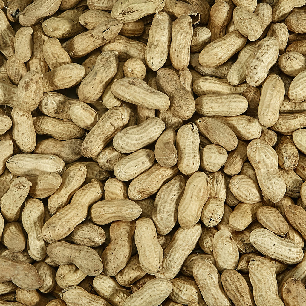 Whole Peanuts in Shell for Wild Birds, Two 5 Pound Bags E6881